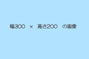 W300,H200の画像の大きさ